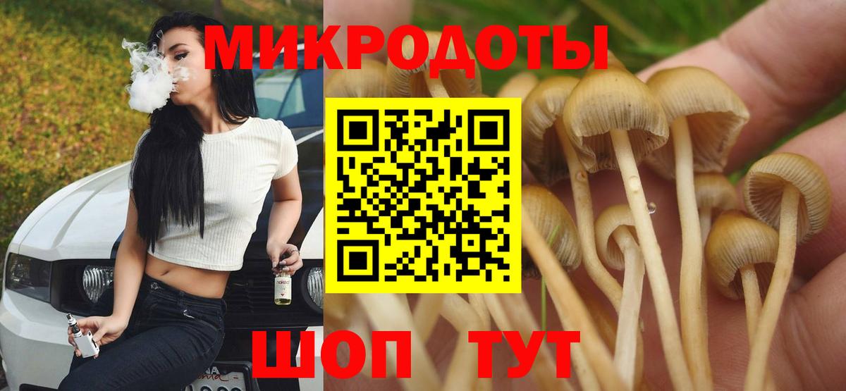Богородицк  Галлюциногенные грибы мицелий  Вход с VPN 